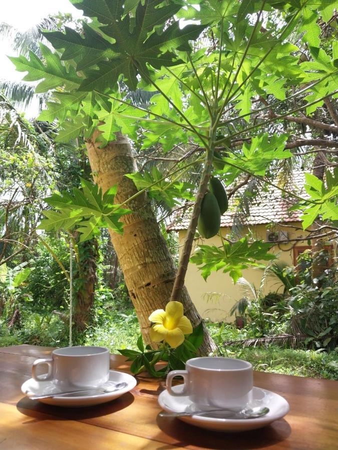 Phu Quoc Pomelo Garden Apartment ภายนอก รูปภาพ
