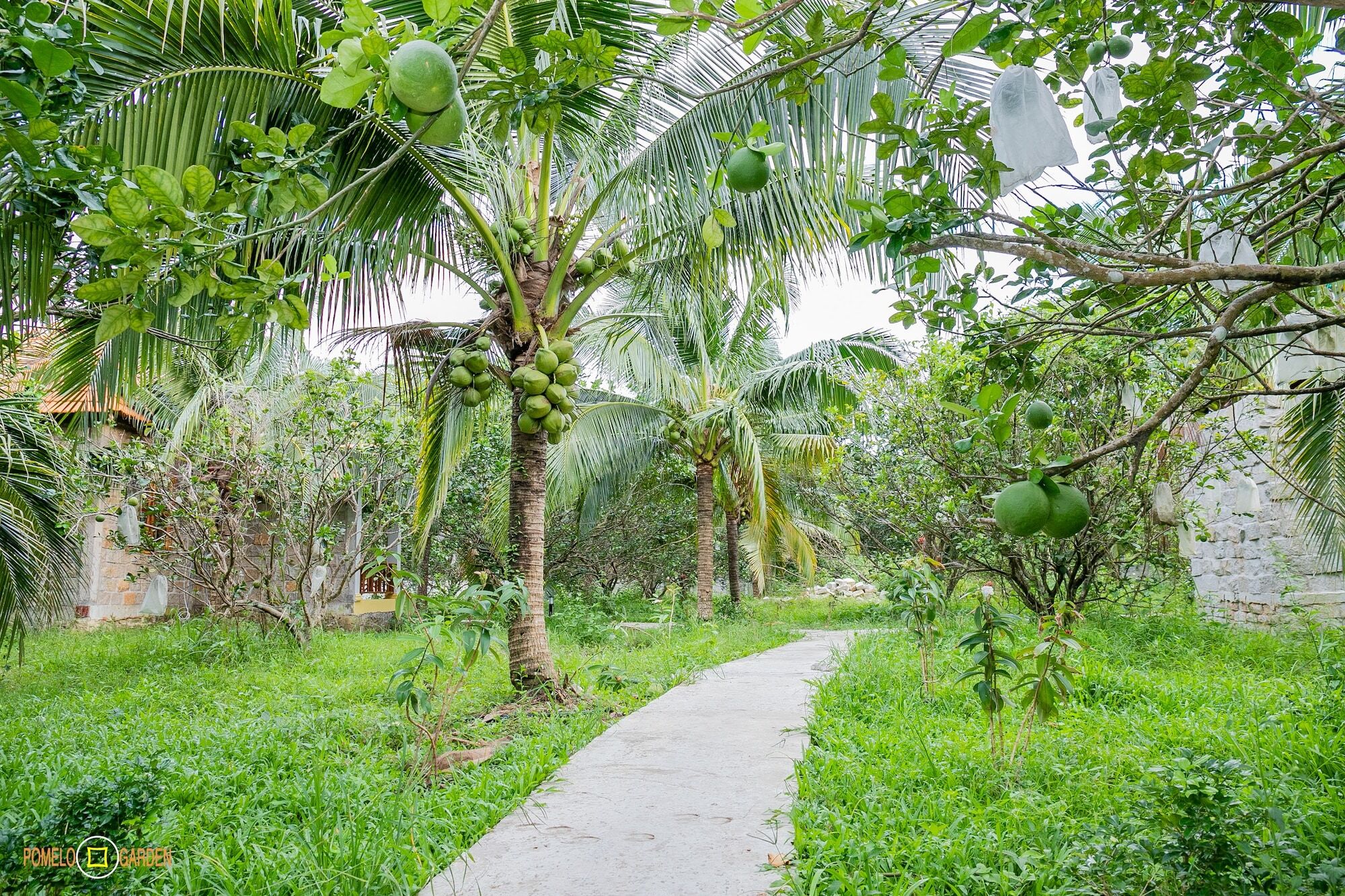 Phu Quoc Pomelo Garden Apartment ภายนอก รูปภาพ