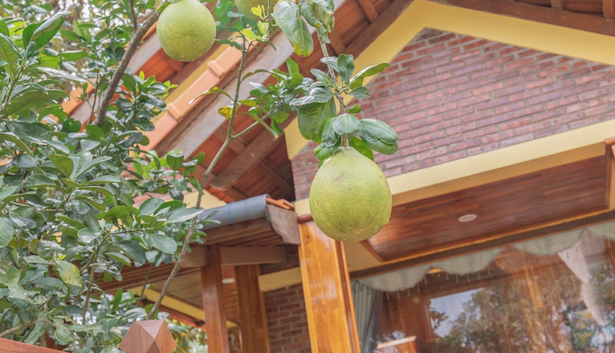 Phu Quoc Pomelo Garden Apartment ภายนอก รูปภาพ
